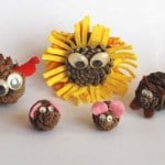 all-pine-cone-pets-small