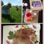 flowers-Collage