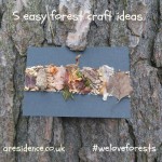 we-love-forests
