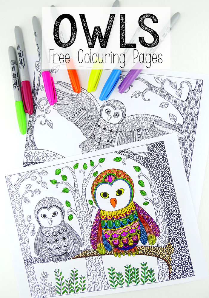 owl colouring pages for grown ups 1   Red Ted Art&39;s Blog