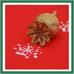 0 poppy snowflake stamp red