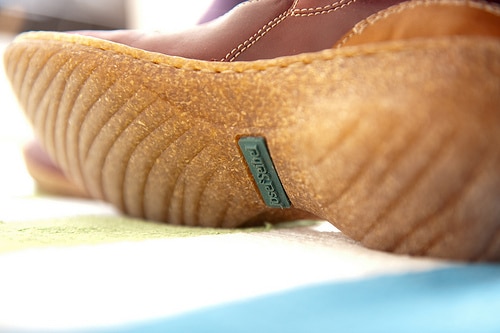 shoe