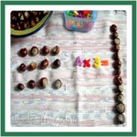 Conkers Counting