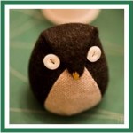 Little Owl