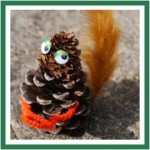 Pine Squirrel