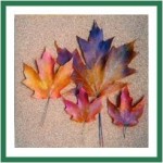 0 preserving leaves