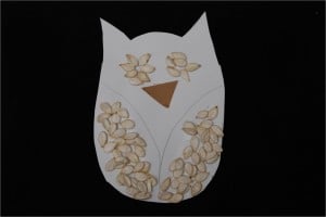 1 owl finished
