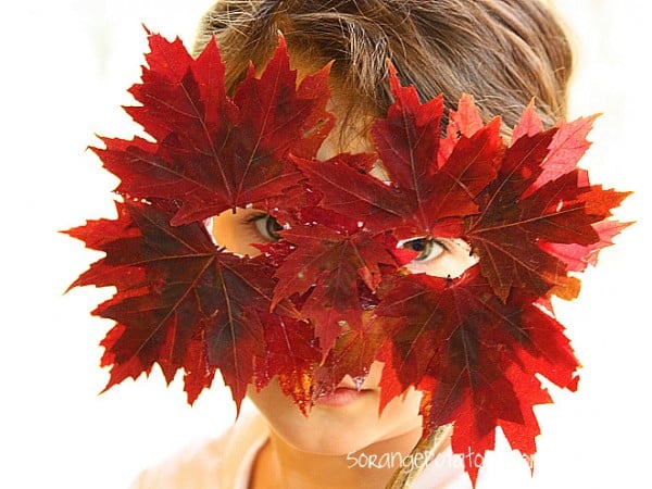 40+ Autumn Crafts