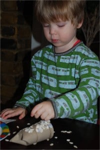 making loo roll owls