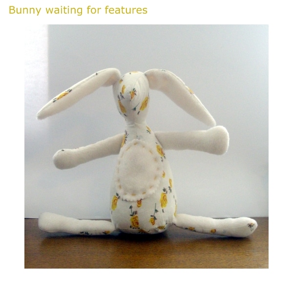 10 bunny waiting for features