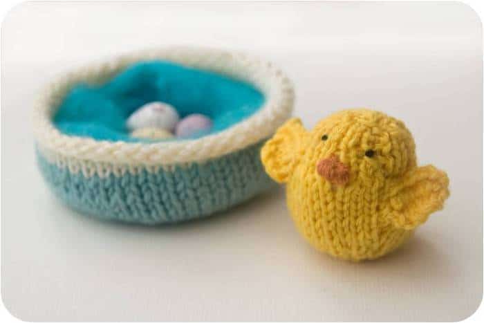 13 finished chick and nest