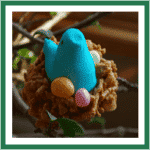 Blue bird nest