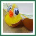 chick in egg
