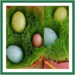 grass nests