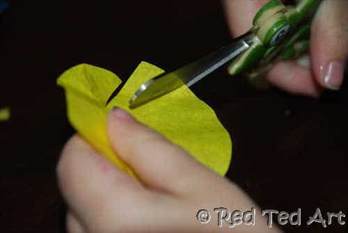 Paper flowers Paper flowers