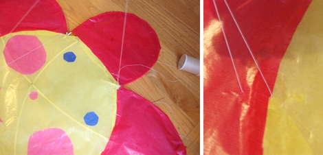 Kite flower