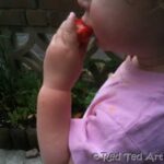 kids learn photography