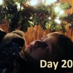 advent advent