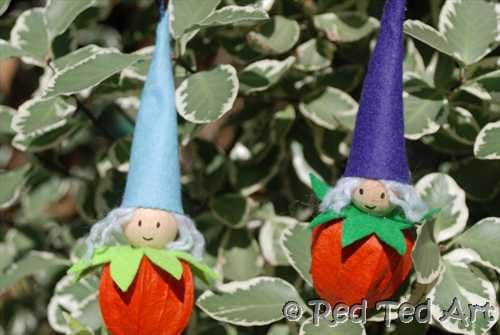 christmas elves physalis (2)