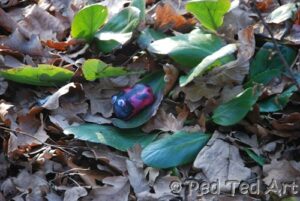 out door activities for kids outdoor activities for kids