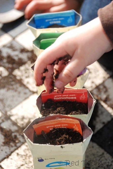 vegetable gardening