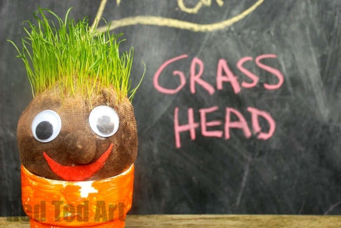 Grow Your Own Grasshead Kids Grass Head Kids gardening Fun Filler Buy 5 get 1 