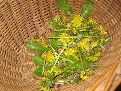 How to… Make Dandelion Soap