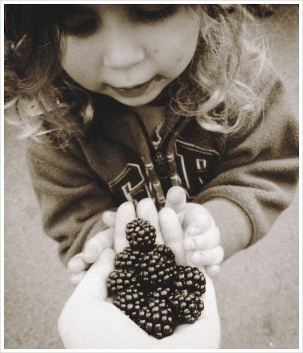 blackberries