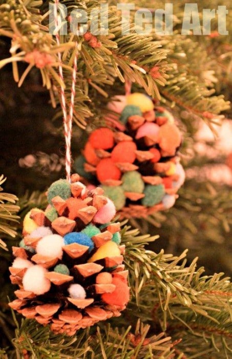 pine cone trees