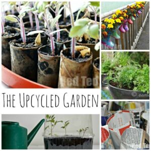 Upcycled garden ideas