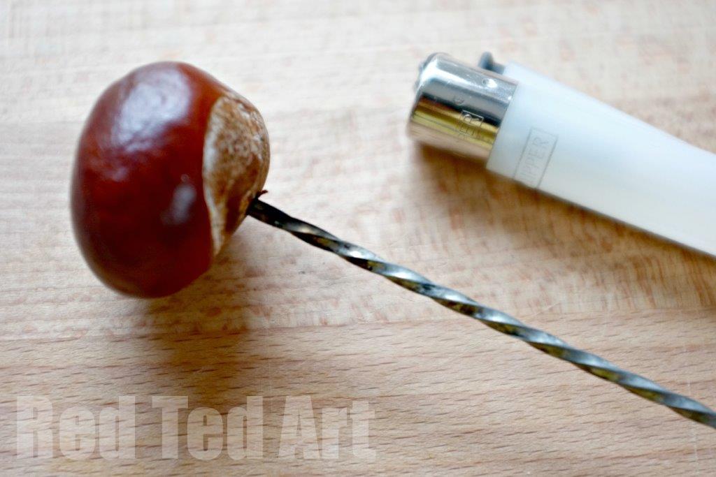 How to play conkers and make them