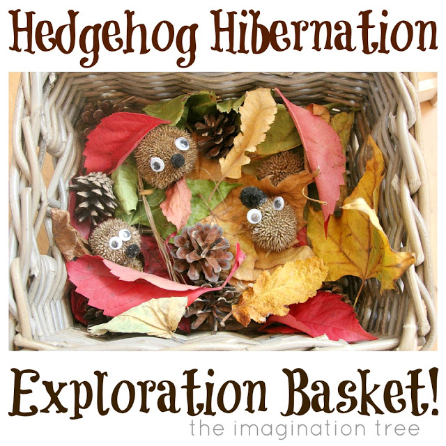 Hedgehog+Hibernation+Exploration+Basket Red Ted Art's Blog