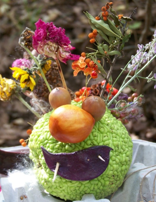 hedgeapple