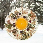 Bird Feeder Ice Ornament