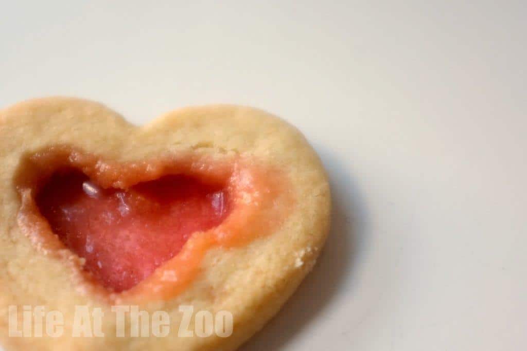 Stained Glass Cookie Fail