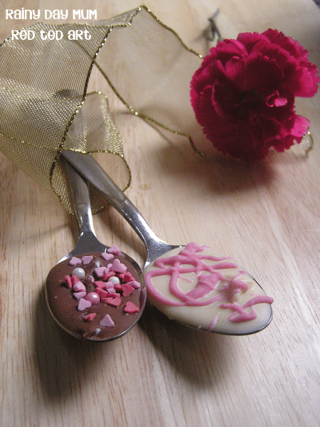 chocolate-spoons-portrait