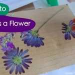 how-to-press-a-flower.019-600x400