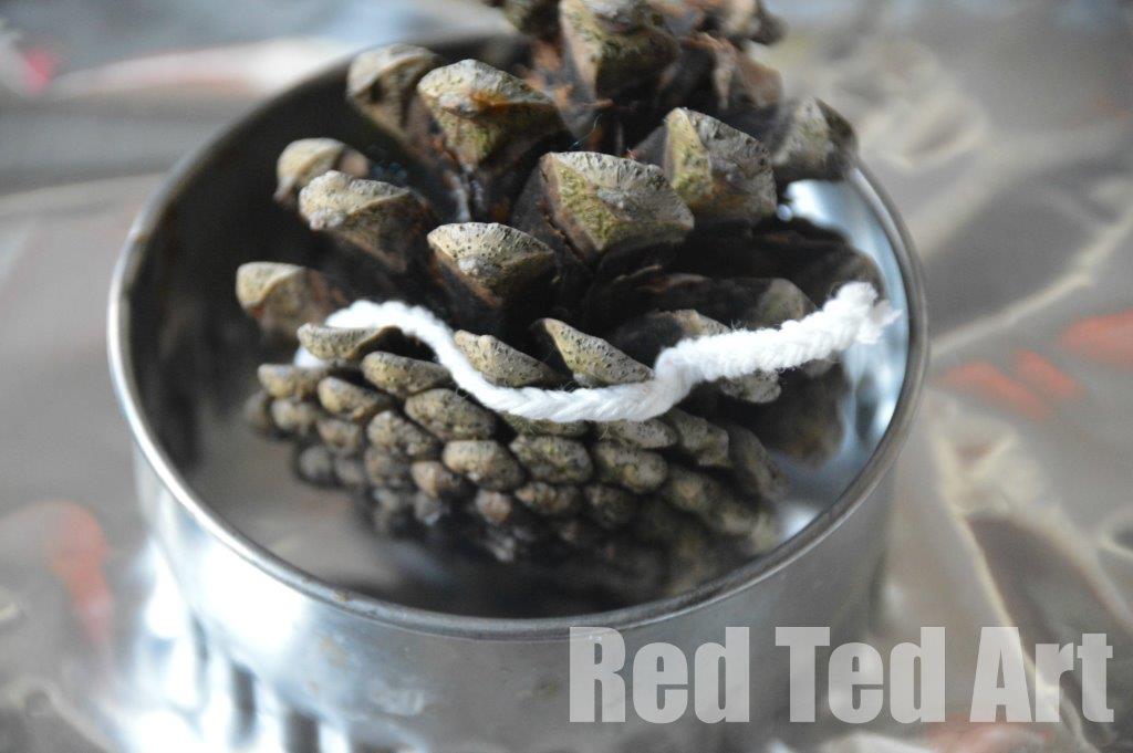 Pine cone crafts - fire lighters