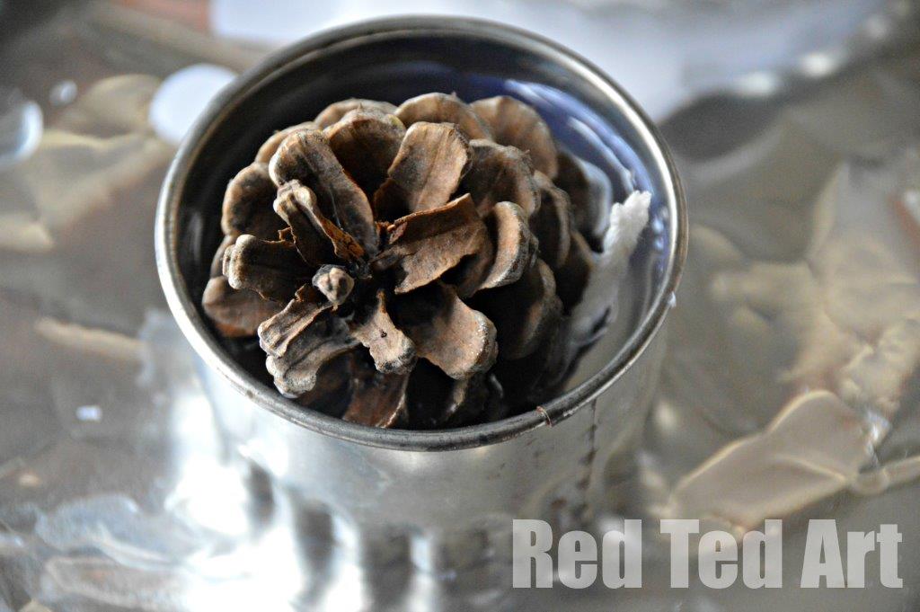 Pinecone crafts fire lighters