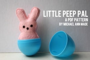 Peep Pal Craft
