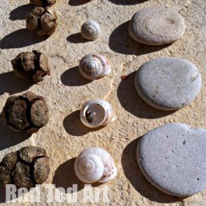Nature Play - 1 - Sorting & counting