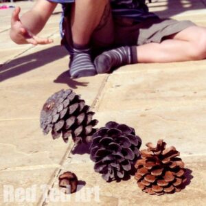 Nature play ideas - 5- Pine cone bowling