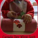 canada day wind sock 1