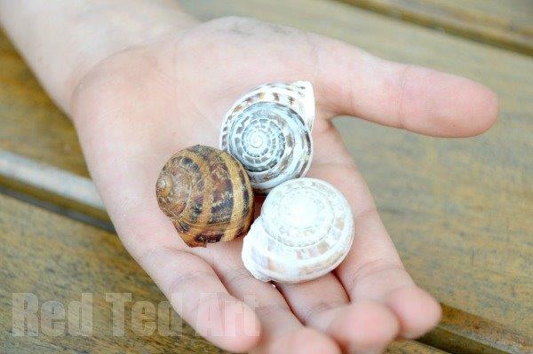 Snail Craft for Kids