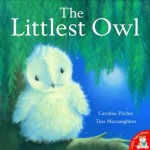 Owl Books for kids (2)