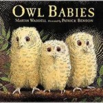 Owl Books for kids (4)