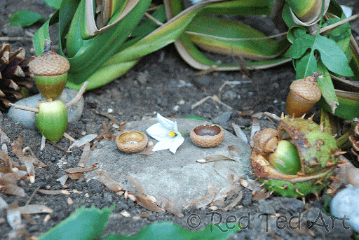 Fairy House accessories from acorns