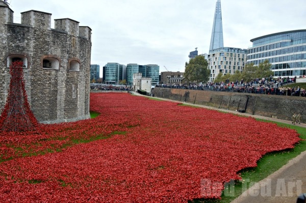 Poppies Tower of London