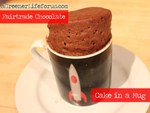 A-Greener-Life-For-Us-Fairtrade-Chocolate-Cake-300x226