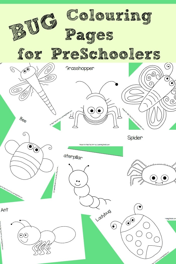 8 Free Bug Colouring Pages, perfect for Preschoolers Red Ted Art